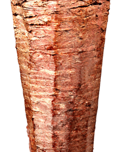 Dönerspies Iskender Premium Halal DV   20kg