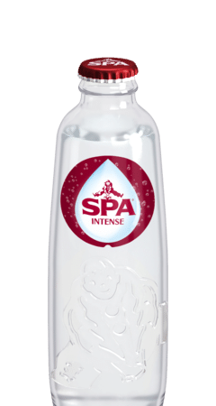 SPA Rood   28x0,25L-GLAS